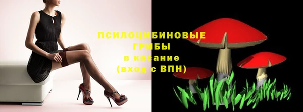 гашик Алексеевка
