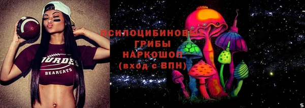 сатива Алексин