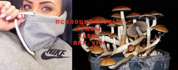 гашик Алексеевка