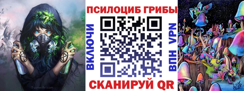 Псилоцибиновые грибы Cubensis  Новоаннинский 